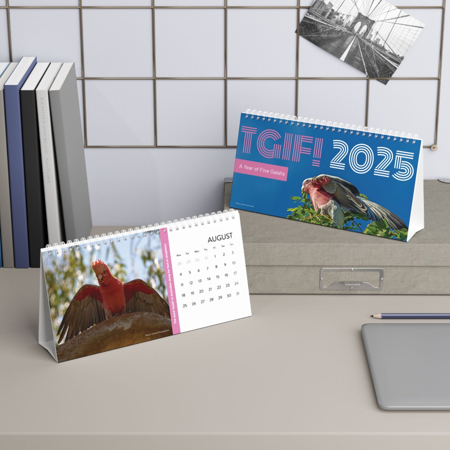 ON SALE: 2025 Galah Calendar (TGIF!)